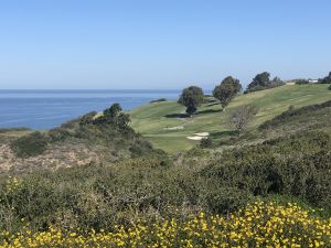 Torrey Pines (North) 15th Flowers Ocean